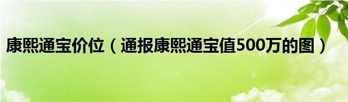 康熙通宝价位(通报康熙通宝值500万的图)