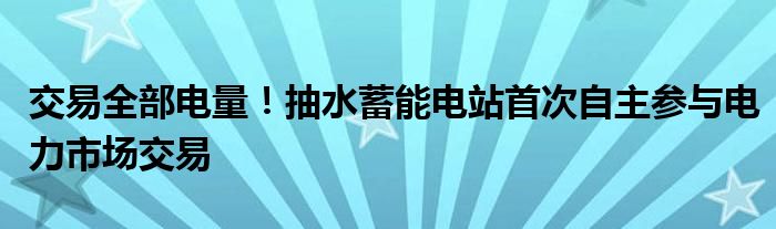 交易全部电量！抽水蓄能电站首次自主参与电力市场交易