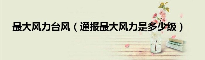 最大风力台风(通报最大风力是多少级)