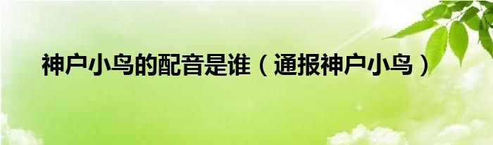 神户小鸟的配音是谁(通报神户小鸟)