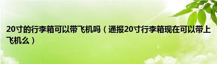 20寸的行李箱可以带飞机吗(通报20寸行李箱现在可以带上飞机么)