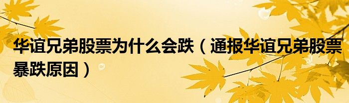 华谊兄弟股票为什么会跌(通报华谊兄弟股票暴跌原因)