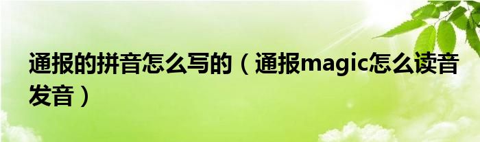 通报的拼音怎么写的(通报magic怎么读音发音)