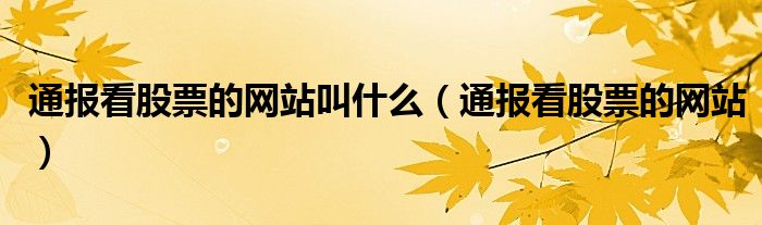 通报看股票的网站叫什么(通报看股票的网站)