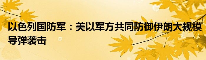 以色列国防军:美以军方共同防御伊朗大规模导弹袭击