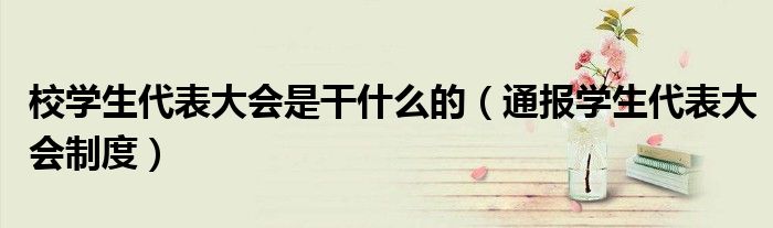校学生代表大会是干什么的(通报学生代表大会制度)