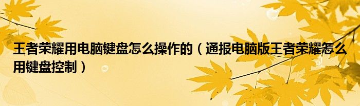 王者荣耀用电脑键盘怎么操作的(通报电脑版王者荣耀怎么用键盘控制)