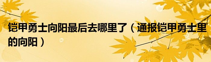 铠甲勇士向阳最后去哪里了(通报铠甲勇士里的向阳)