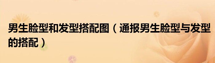 男生脸型和发型搭配图(通报男生脸型与发型的搭配)