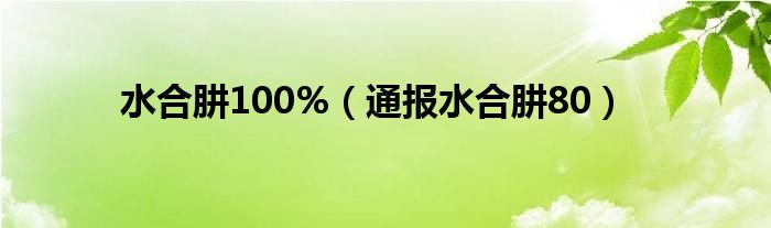 水合肼100%(通报水合肼80)