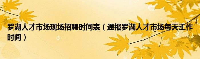 罗湖人才市场现场招聘时间表(通报罗湖人才市场每天工作时间)