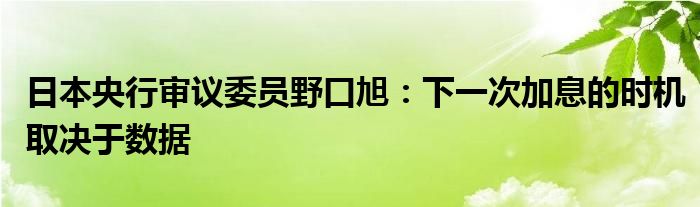 日本央行审议委员野口旭:下一次加息的时机取决于数据