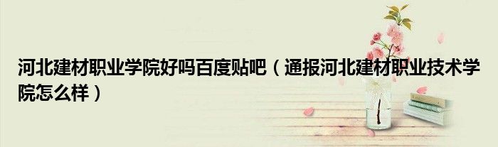 河北建材职业学院好吗百度贴吧(通报河北建材职业技术学院怎么样)