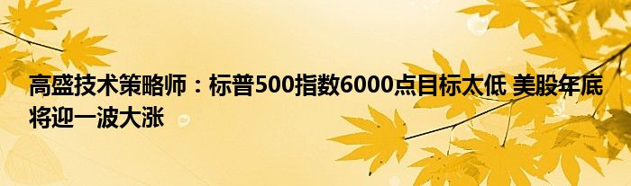 高盛技术策略师:标普500指数6000点目标太低 美股年底将迎一波大涨