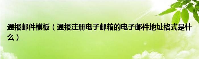 通报邮件模板(通报注册电子邮箱的电子邮件地址格式是什么)
