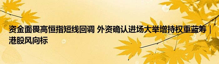 资金面畏高恒指短线回调 外资确认进场大举增持权重蓝筹|港股风向标