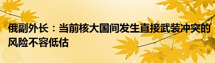 俄副外长:当前核大国间发生直接武装冲突的风险不容低估
