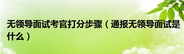 无领导面试考官打分步骤(通报无领导面试是什么)
