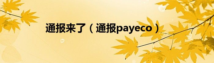 通报来了(通报payeco)