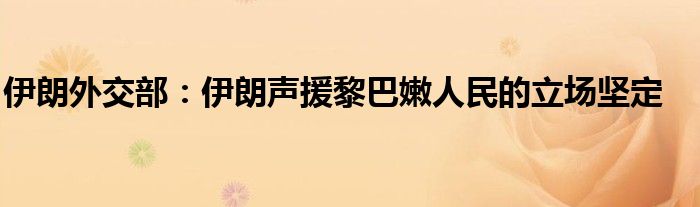 伊朗外交部:伊朗声援黎巴嫩人民的立场坚定