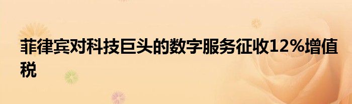 菲律宾对科技巨头的数字服务征收12%增值税