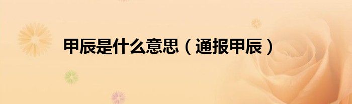甲辰是什么意思(通报甲辰)