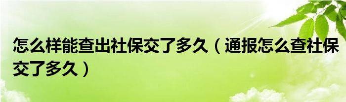 怎么样能查出社保交了多久(通报怎么查社保交了多久)
