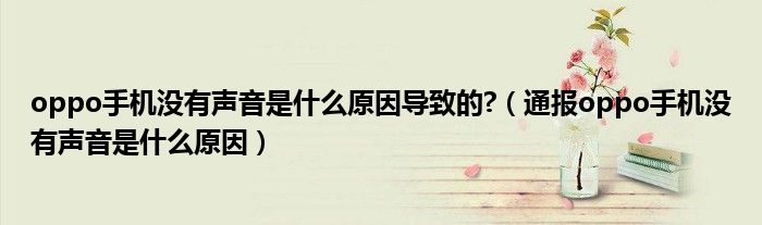 oppo手机没有声音是什么原因导致的?(通报oppo手机没有声音是什么原因)