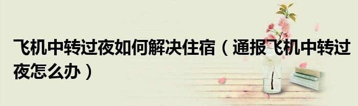 飞机中转过夜如何解决住宿(通报飞机中转过夜怎么办)