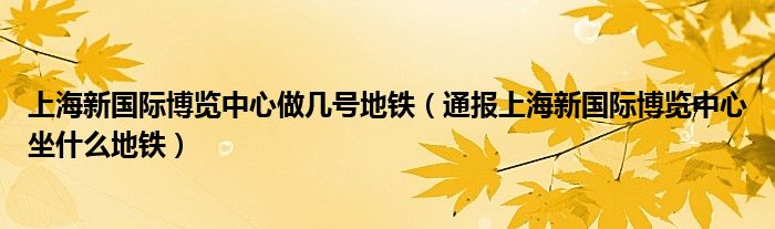 上海新国际博览中心做几号地铁(通报上海新国际博览中心坐什么地铁)