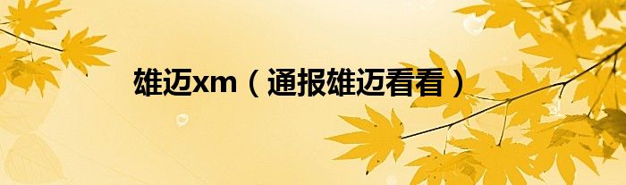 雄迈xm(通报雄迈看看)