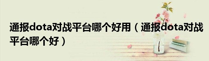 通报dota对战平台哪个好用(通报dota对战平台哪个好)