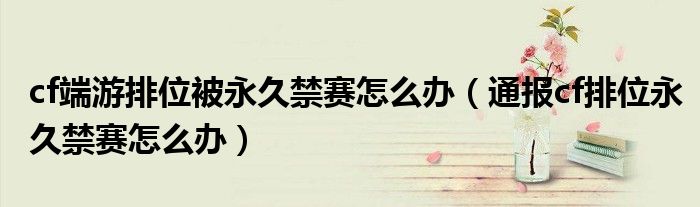 cf端游排位被永久禁赛怎么办(通报cf排位永久禁赛怎么办)