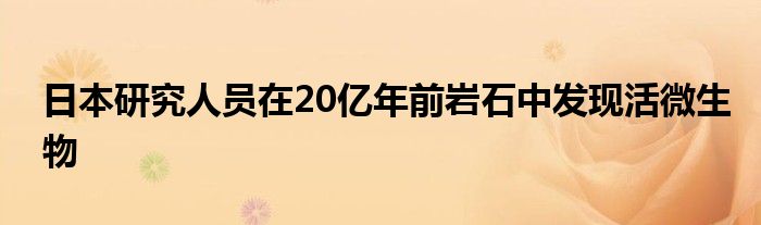 日本研究人员在20亿年前岩石中发现活微生物