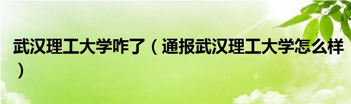 武汉理工大学咋了（通报武汉理工大学怎么样）