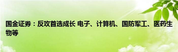 国金证券:反攻首选成长 电子、计算机、国防军工、医药生物等