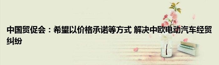 中国贸促会:希望以价格承诺等方式 解决中欧电动汽车经贸纠纷