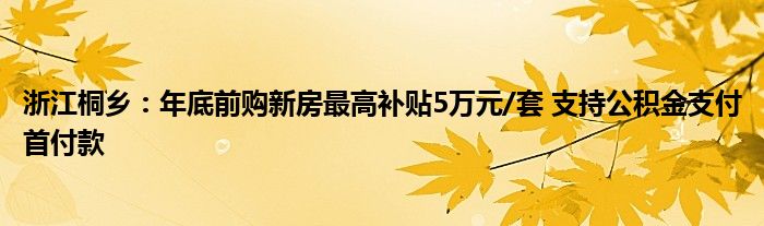 浙江桐乡:年底前购新房最高补贴5万元/套 支持公积金支付首付款