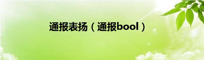通报表扬(通报bool)
