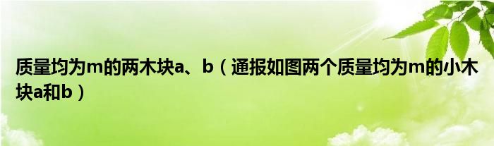 质量均为m的两木块a、b(通报如图两个质量均为m的小木块a和b)