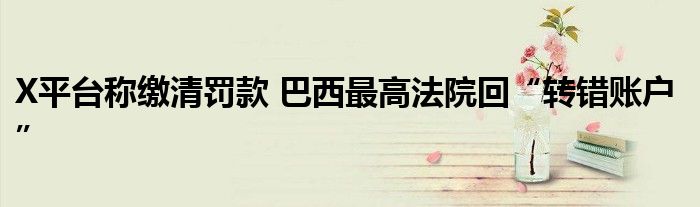 X平台称缴清罚款 巴西最高法院回“转错账户”