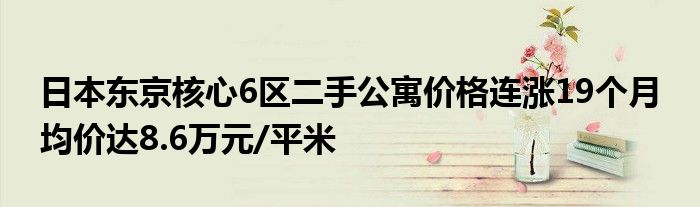 日本东京核心6区二手公寓价格连涨19个月 均价达8.6万元/平米