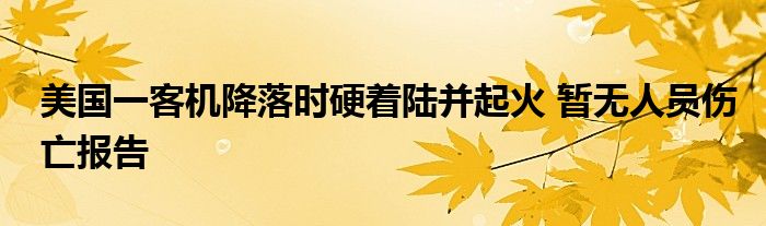 美国一客机降落时硬着陆并起火 暂无人员伤亡报告