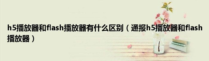 h5播放器和flash播放器有什么区别(通报h5播放器和flash播放器)