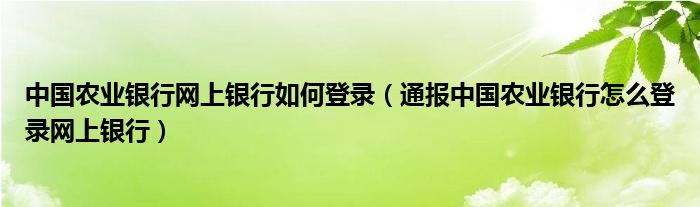 中国农业银行网上银行如何登录(通报中国农业银行怎么登录网上银行)