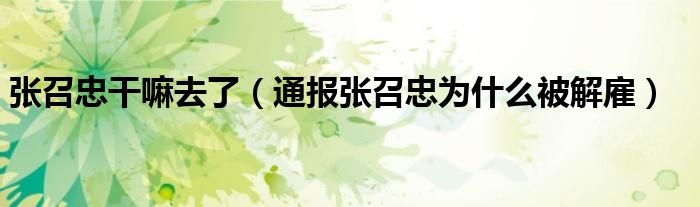 张召忠干嘛去了(通报张召忠为什么被解雇)
