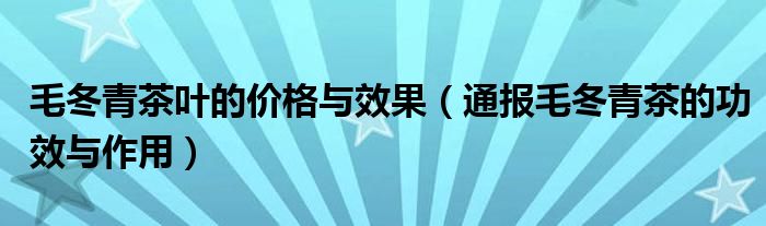 毛冬青茶叶的价格与效果(通报毛冬青茶的功效与作用)