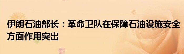 伊朗石油部长:革命卫队在保障石油设施安全方面作用突出
