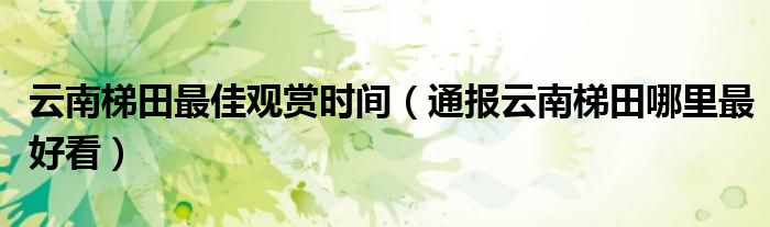 云南梯田最佳观赏时间(通报云南梯田哪里最好看)