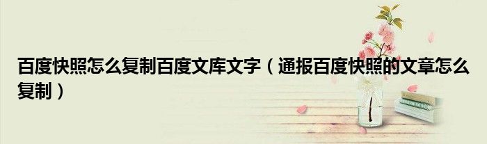 百度快照怎么复制百度文库文字(通报百度快照的文章怎么复制)
